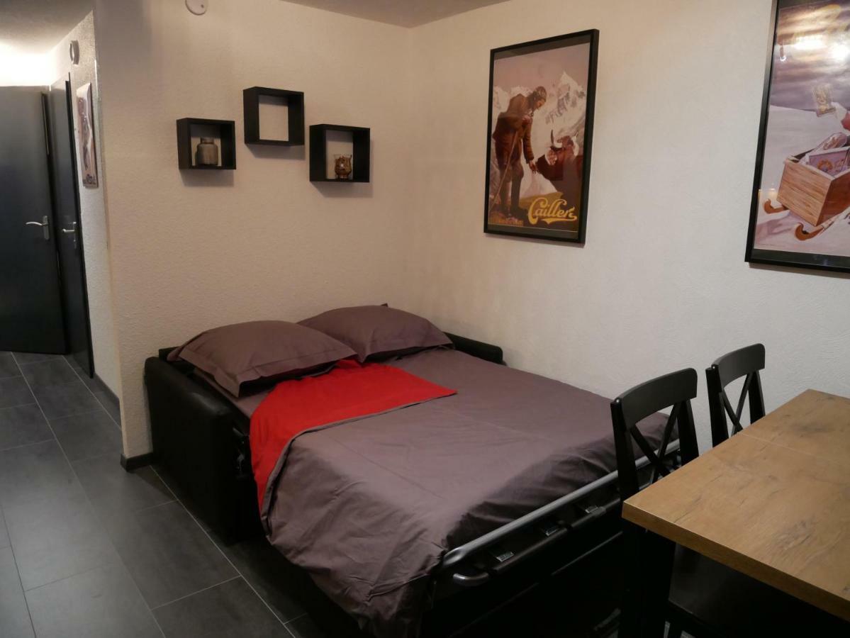 Appartement 4 Personnes Au Pied Des Pistes Du Linga A シャテル エクステリア 写真